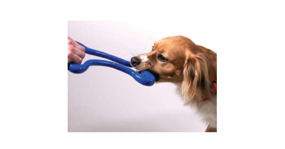 Orbee-Tuff Tug Zerrknochen 27,5cm