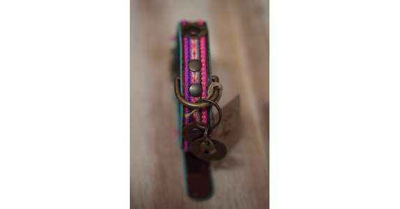 Halsband DWAM Summer Love 2,5cm M