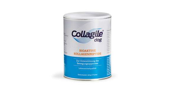 Collagile dog - Bioaktive Kollagenpeptide
