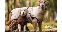 Hundebademantel dryup cape sand