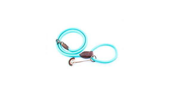 DWAM Leash Türkis