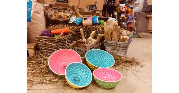DWAM Ess- und Trinknapf Melon & Lime L 22cm gelb/t�rkis
