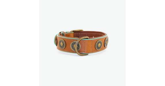 DWAM Halsband Urban 4cm M