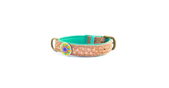 DWAM Halsband Phoenix 2,5cm