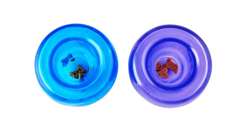 Planet Dog Orbee-Tuff Snoop Logik-Spielzeug 12,7cm Blau