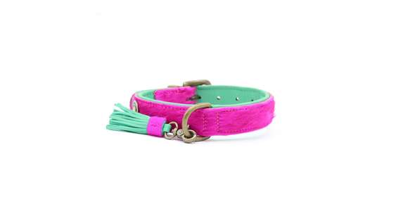 DWAM Halsband Lollypop
