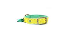 DWAM Halsband Cotton Candy 2,5cm M