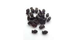 Trainings-Leckerlies Omega 3 & 6  500g