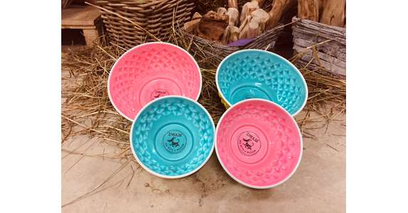 DWAM Ess- und Trinknapf Melon & Lime S 16cm lemon/lime